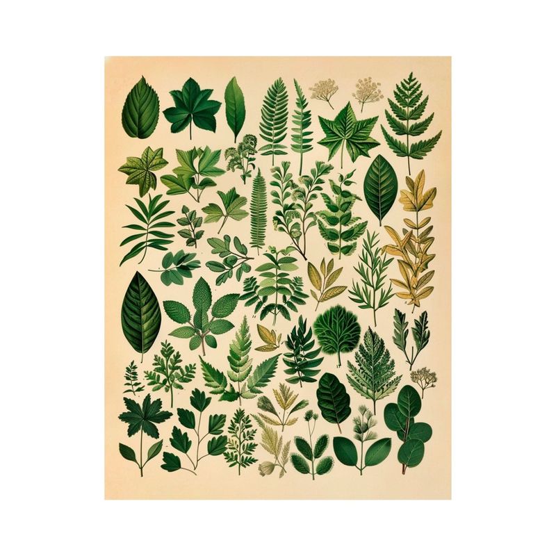 GENERICO - Cuadro decorativo Esplendor Otoñal 50x40
