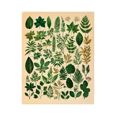 GENERICO - Cuadro decorativo Esplendor Otoñal 50x40