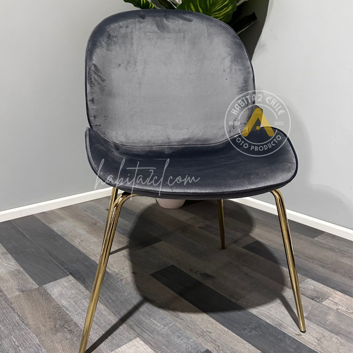 HABITA2 CHILE - Pack 2 Silla Comedor Felpa Berlin con patas Doradas - Negro