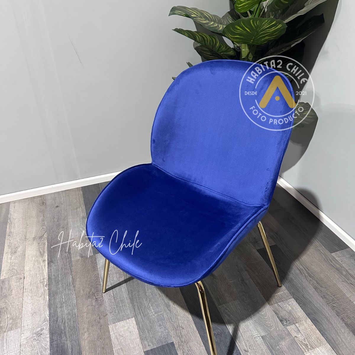 HABITA2 CHILE - Pack 4 Silla Comedor Felpa Berlin con patas Doradas -Azul