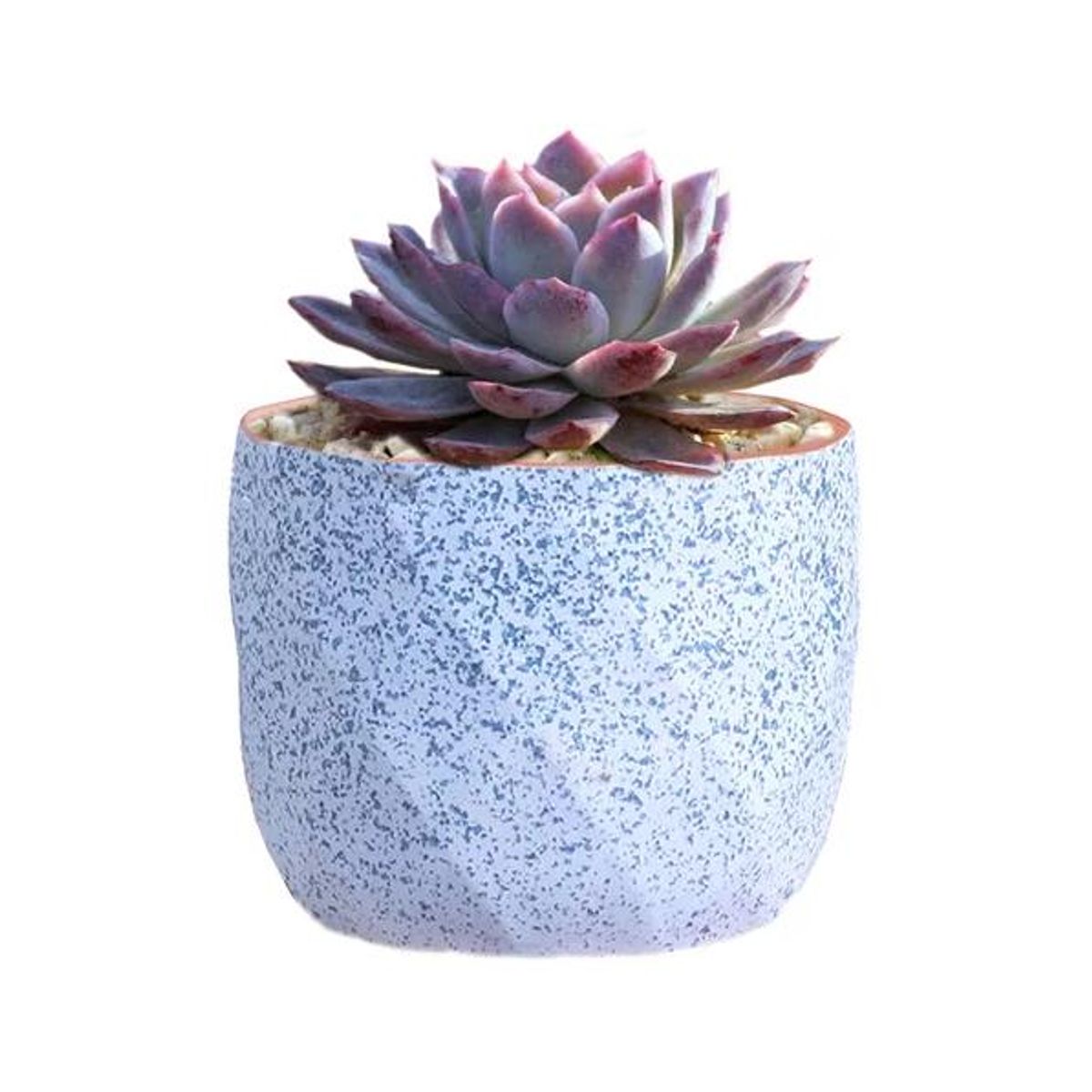 GENERICO - Macetero Geométrico Cerámica Suculentas 72x6cm Pack 10 Azul