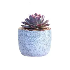 GENERICO - Macetero Geométrico Cerámica Suculentas 72x6cm Pack 10 Azul