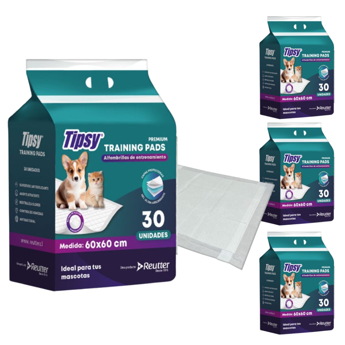 REUTTER - Pack 120 Un Sabanilla Entrenaminto Mascota Tipsy 60X60cm