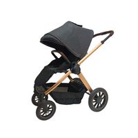 Coche de bebé Asiento Reversible Gris Gold
