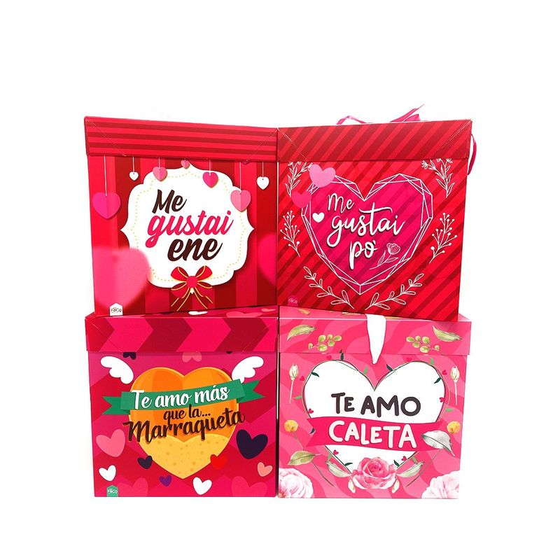 GENERICO - CAJA PLEGABLE GRANDE AMOR CHILENSIS 22X22 CM X12 UNI