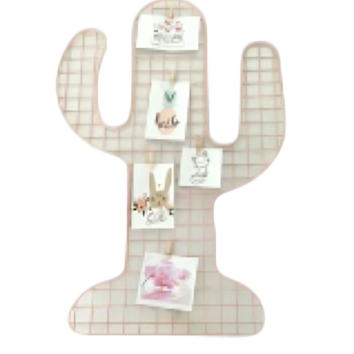 OEM - Marco de  Malla de cactus grande 70x46 cm