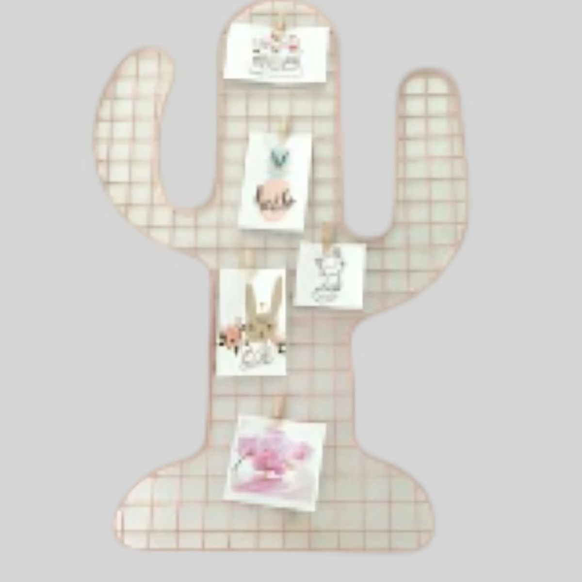 OEM - Marco de  Malla de cactus grande 70x46 cm