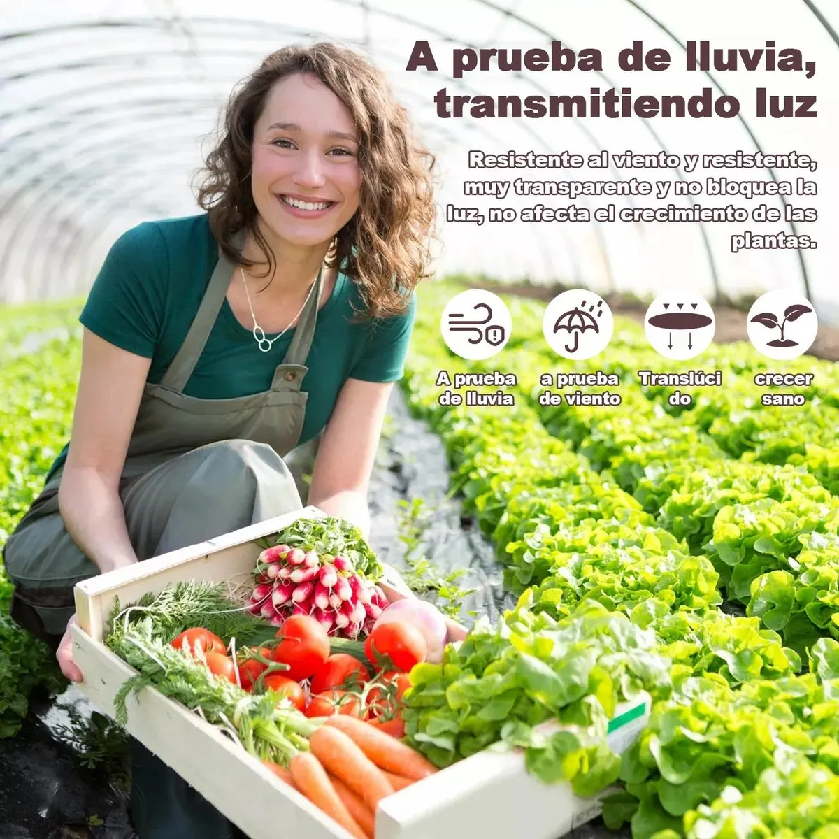 KUANGYE - Lona Transparente Impermeable 3x3 M + Cuerda De Nailon 10 M