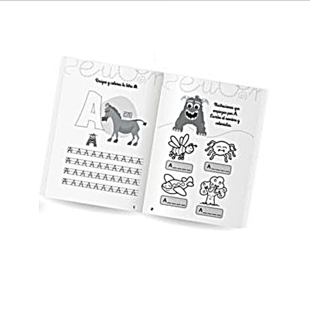 OEM - LIBRO DIDACTICO DE ACTIVIDADES CON LETRAS