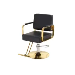 GENERICO - Sillon Peluqueria Barberia Manga Acero Dorados