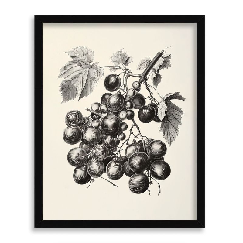 GENERICO - Cuadro decorativo Uvas de Viñedo 50x40 cm
