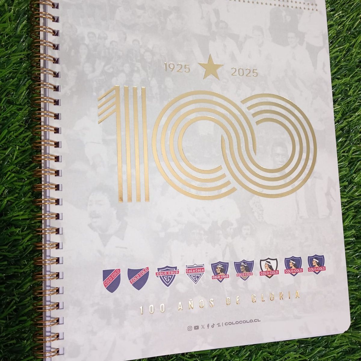 GENERICO - 10 Und Cuaderno Universitario Colocolo 100 Hojas Centenario