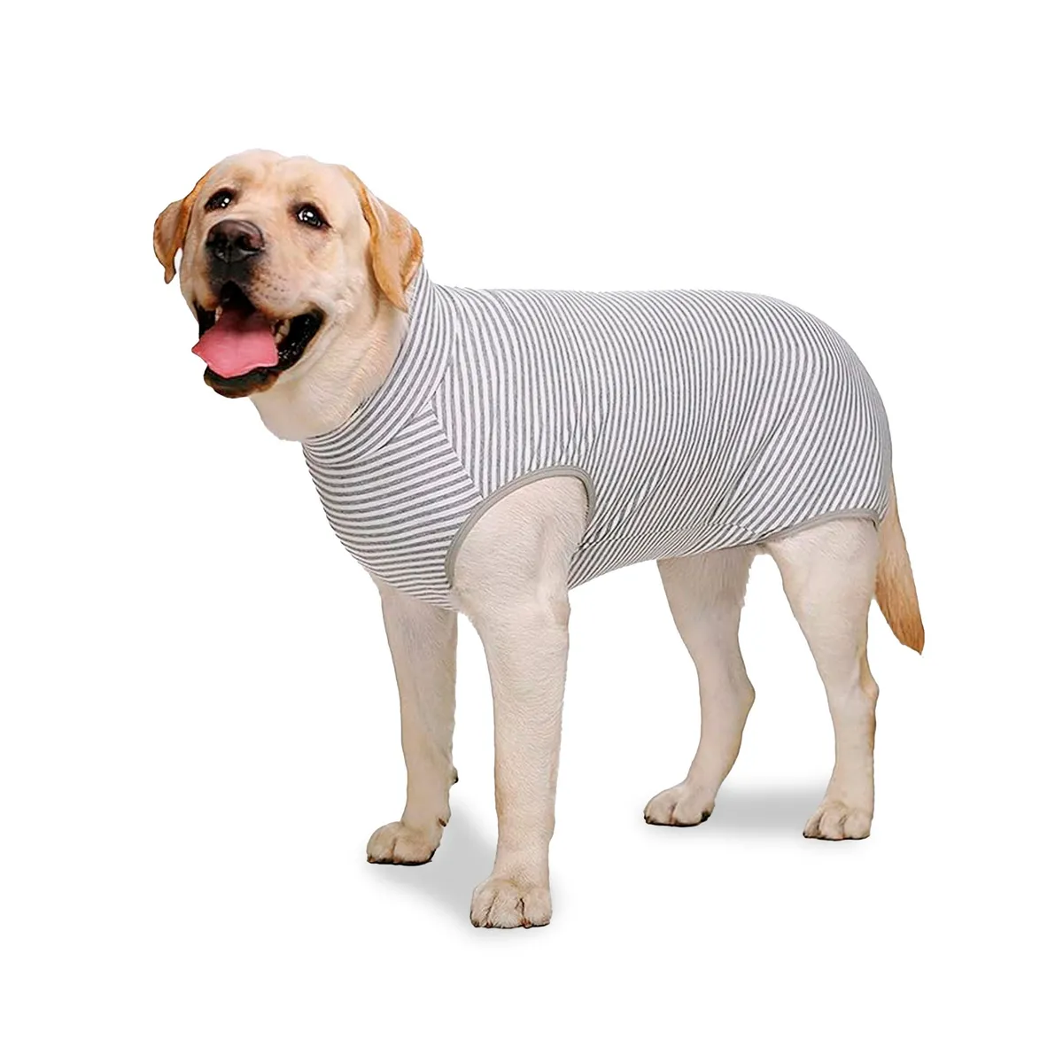 GENERICO - Fajas Body Postoperatorios Para Perros rayas Talla 26