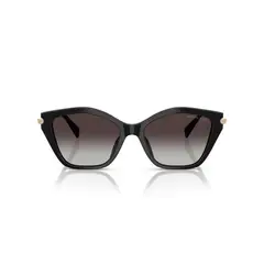 MICHAEL KORS - Lentes de Sol Catskills Degradados MK2246U 30058G 54