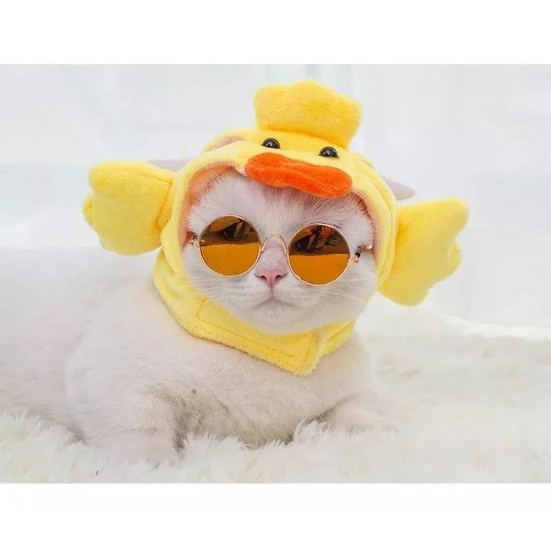 DEFENSOR FOREVER - Gorro Disfraz De Pato Más Lentes Para Gatos Mascotas