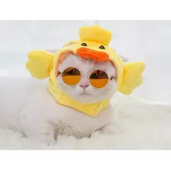 DEFENSOR FOREVER - Gorro Disfraz De Pato Más Lentes Para Gatos Mascotas