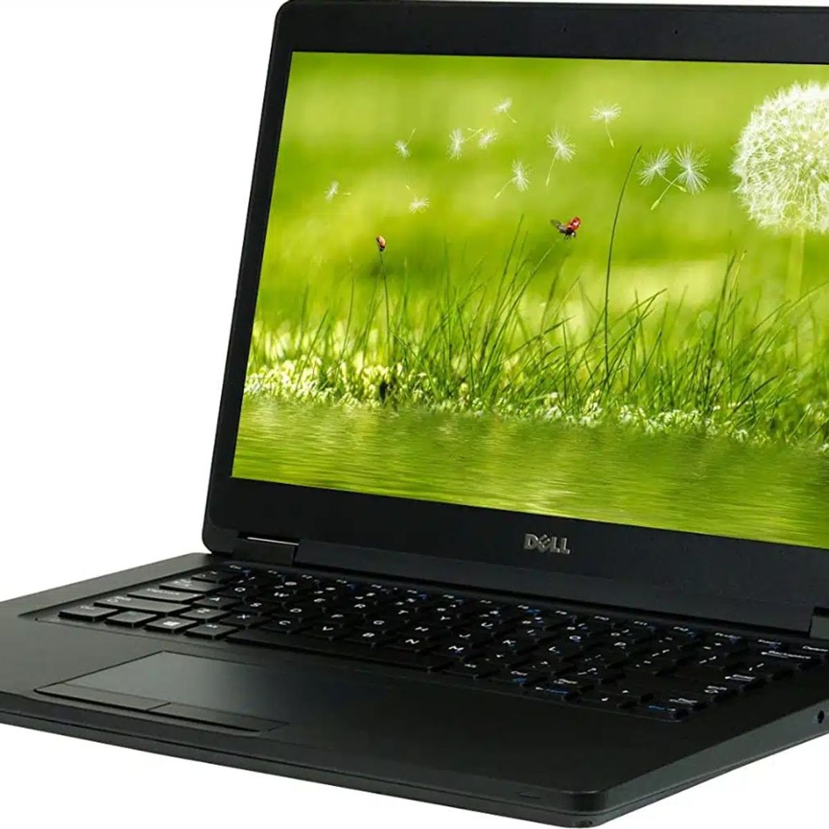 DELL - Notebook DELL CORE I5 8 GB DE RAM Y DISCO SOLIDO TOUCH