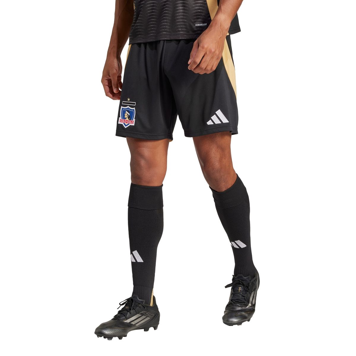 ADIDAS - Short Visita Colo-Colo 2025
