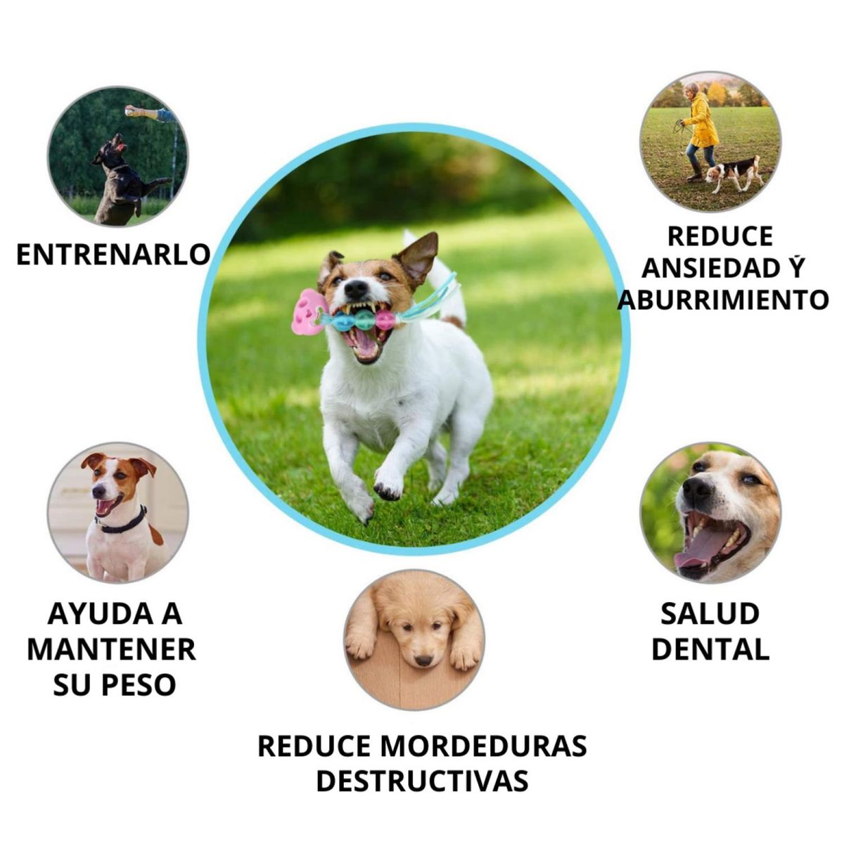 GENERICO - Juguete Interactivo Para Masticar De Goma Colores Mascotas