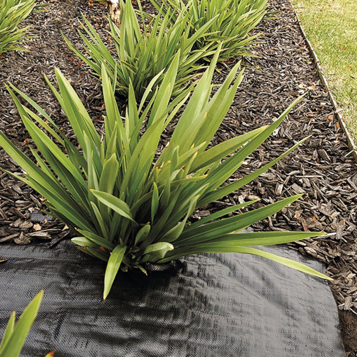 MARIENBERG - Tela Ground Cover o Antimaleza de 0.70 x 10 mts. Color Negro