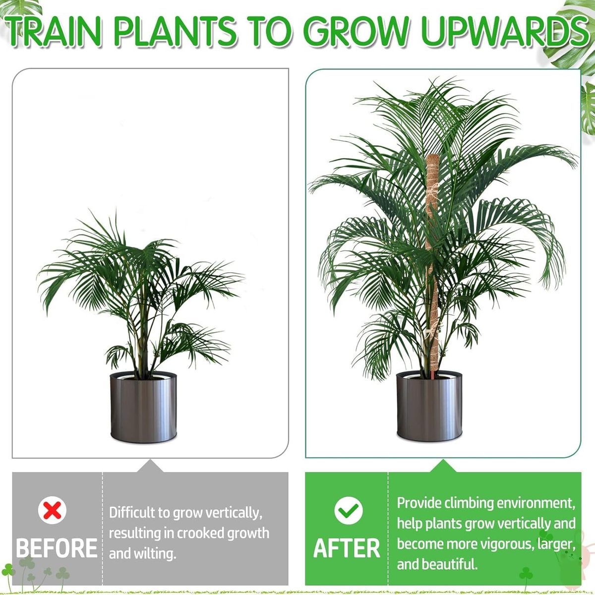 BITART - 21 Kits Tutor De Musgo Soporte Para Plantas 100cm/fibra Coco