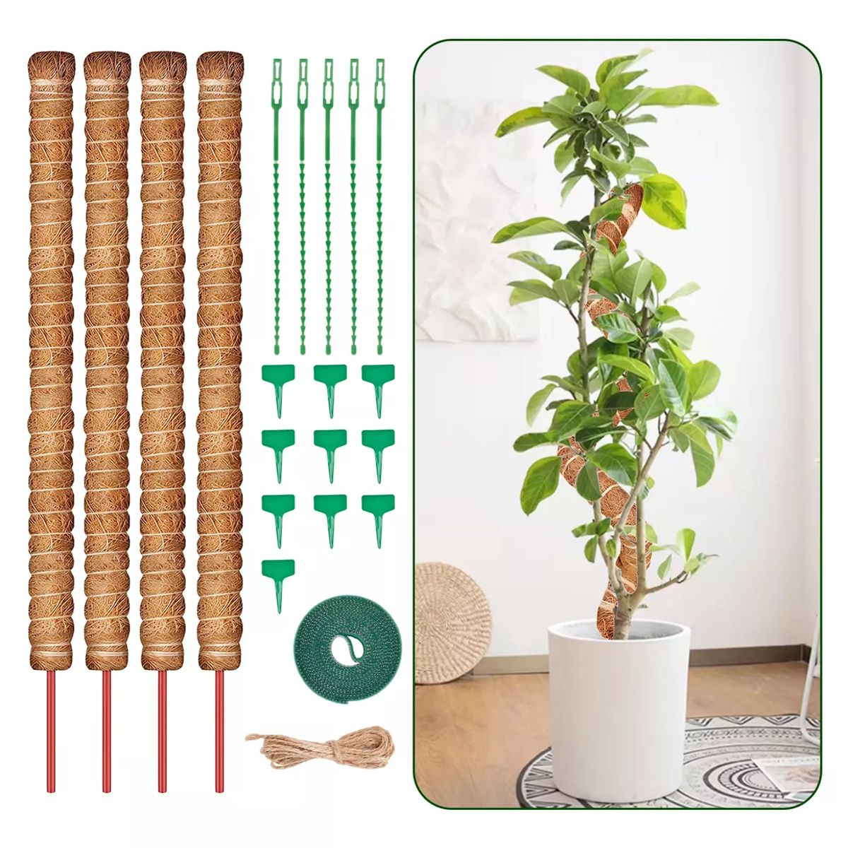 BITART - 21 Kits Tutor De Musgo Soporte Para Plantas 100cm/fibra Coco