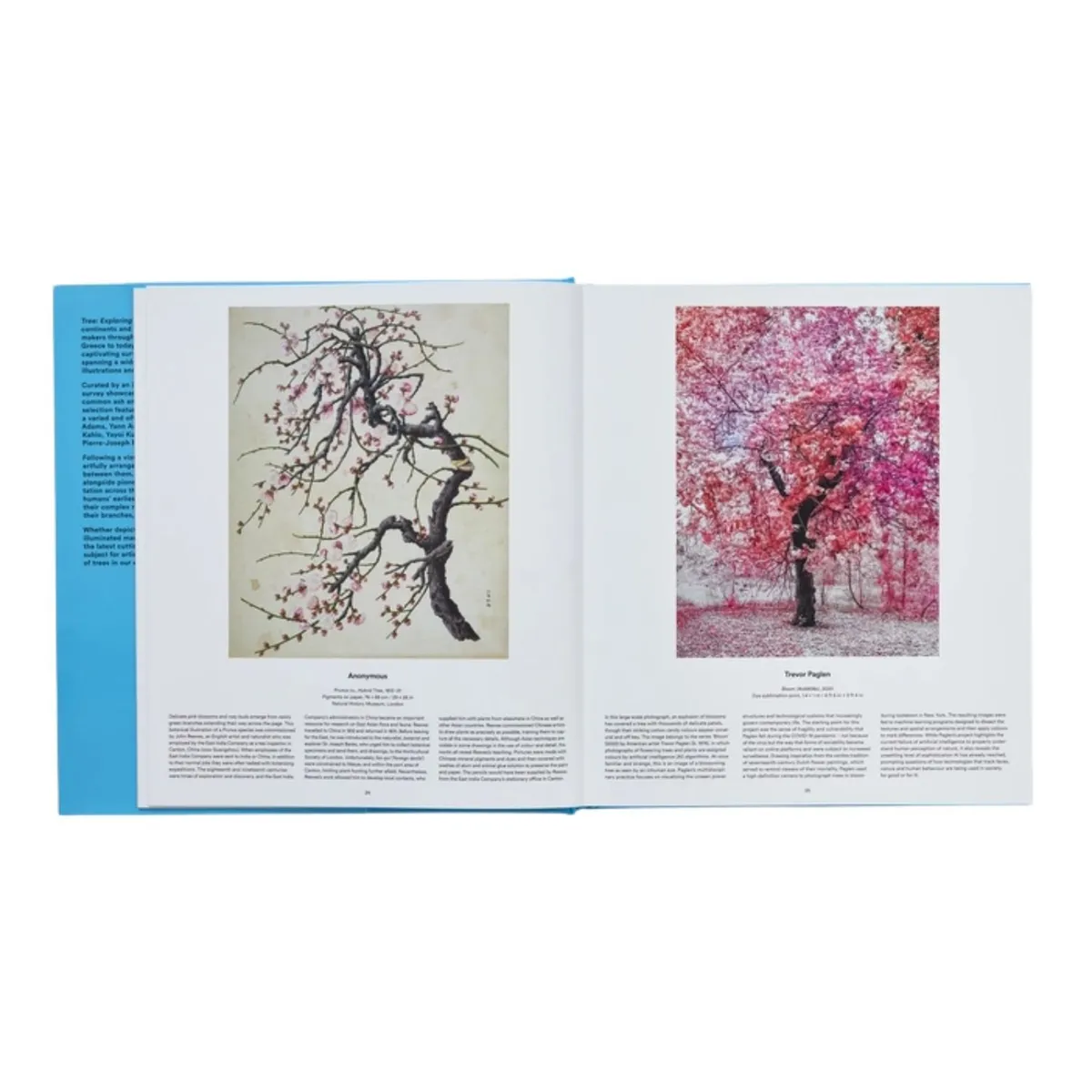 PHAIDON - Árboles de Editorial Phaidon