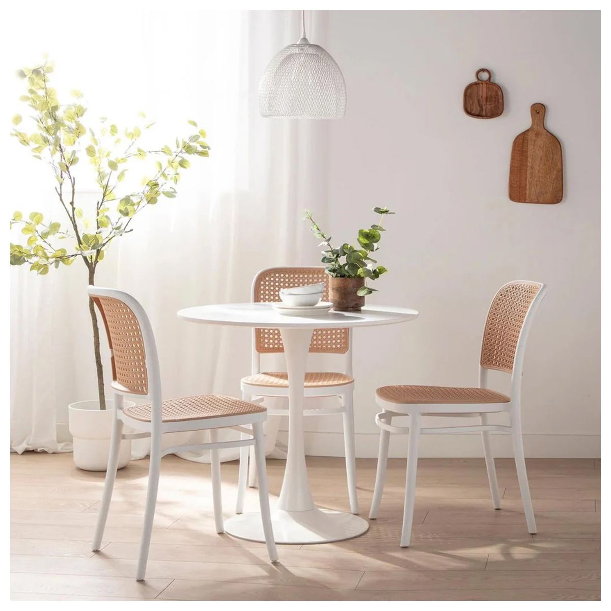 NOVAHUS - Pack 4 Sillas Terraza Plástica Cairo BlancaBeige