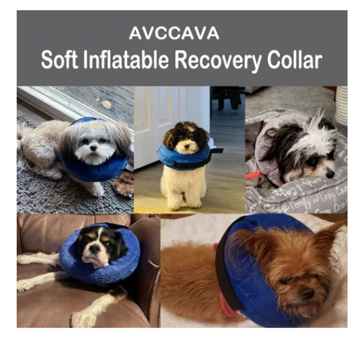 GENERICO - Collar Inflable Recuperación Perros Gatos Ajustable Suave