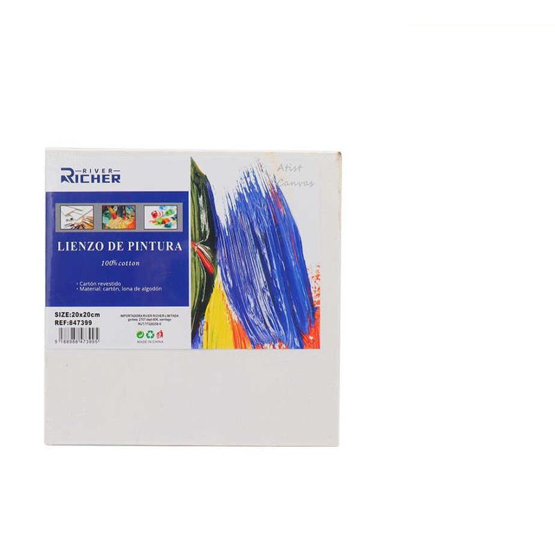 GENERICO - Pack 10 Lienzo 20x20