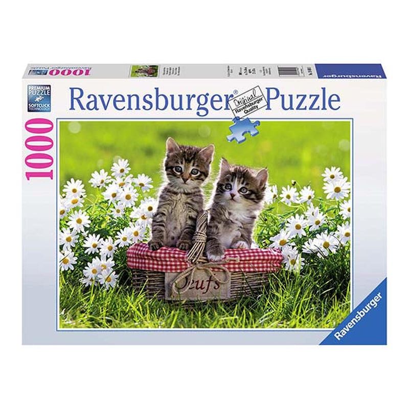 RAVENSBURGER - Puzzle Picnic - 1000 piezas
