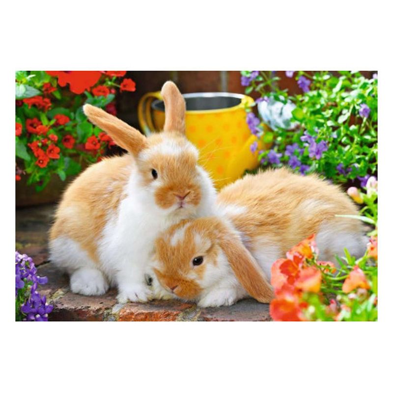 RAVENSBURGER - Puzzle Abrazo de animales - 2x12 - Ravensburger
