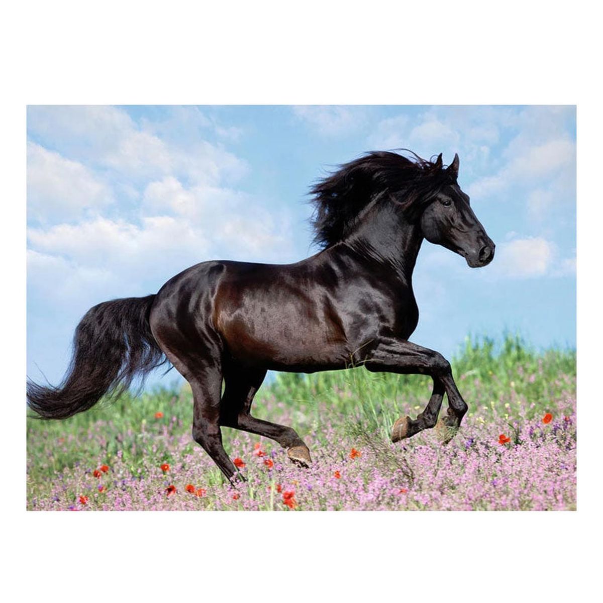 RAVENSBURGER - Puzzle XXL Caballo negro - 200 piezas
