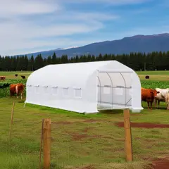 IGPRO - Invernadero Tunel 24 M2 8x3x2m Blanco.