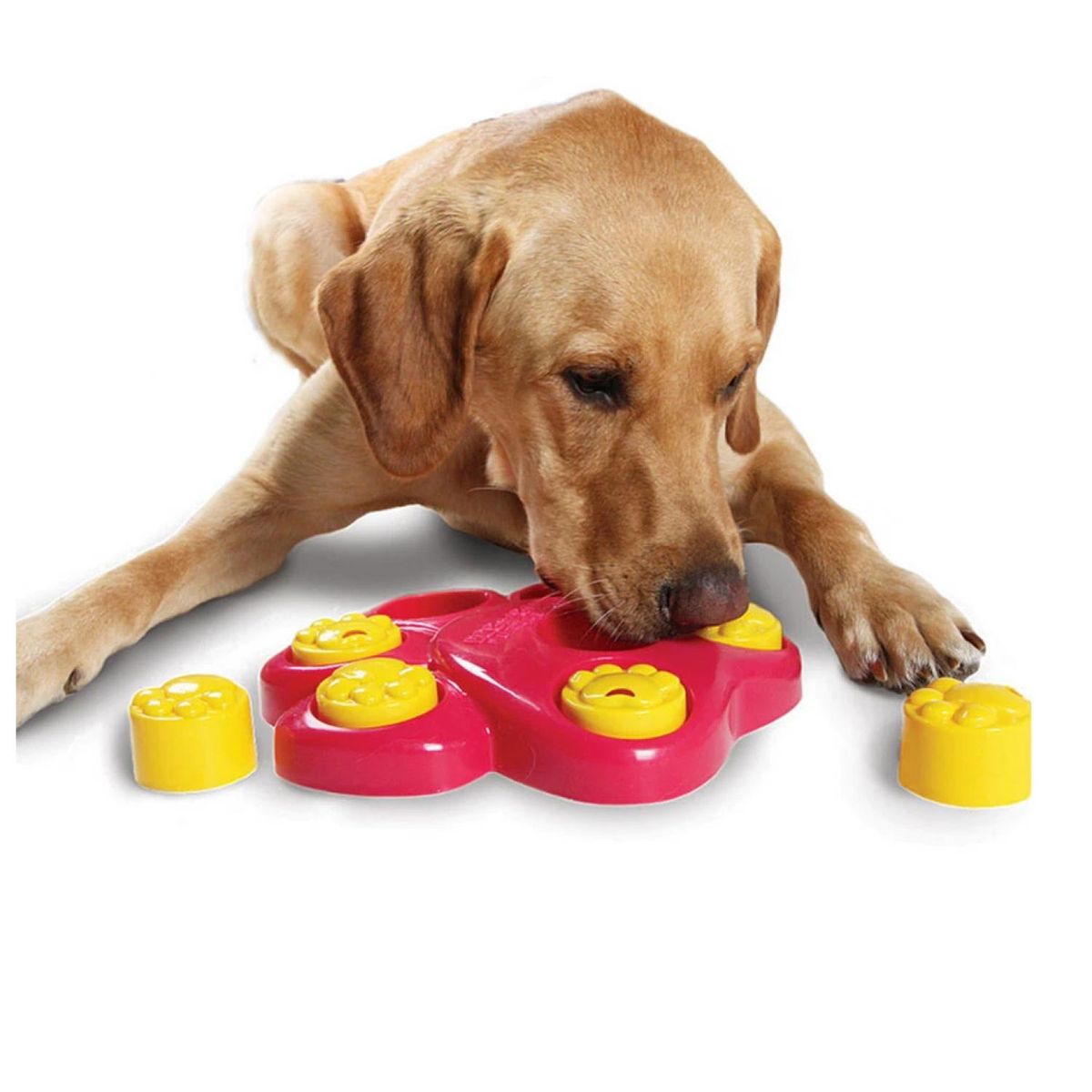 GENERICO - Juguete Rompecabeza Divertido Esconde Comida Para Perros