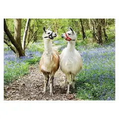 RAVENSBURGER - Puzzle XXL Llama Love - 100 piezas