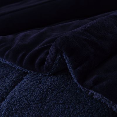 Imagen 2 del producto Plumon 2 plaza AZUL PLUSH con chiporro TF CS07