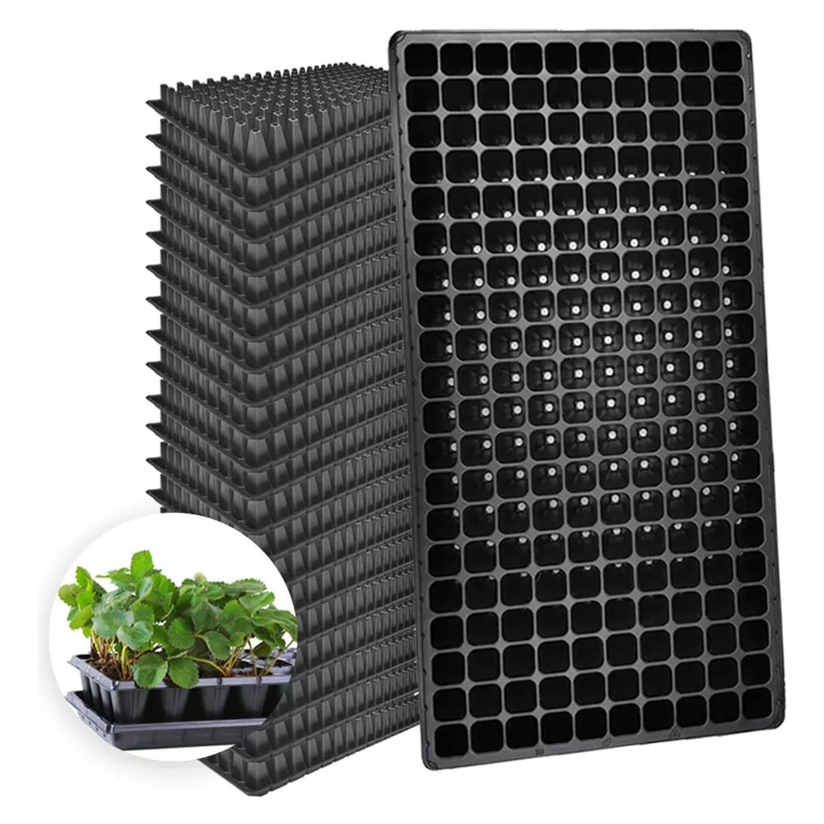 KUANGYE - Charola/bandeja De Germinación 128 Cavidades 12 Piezas