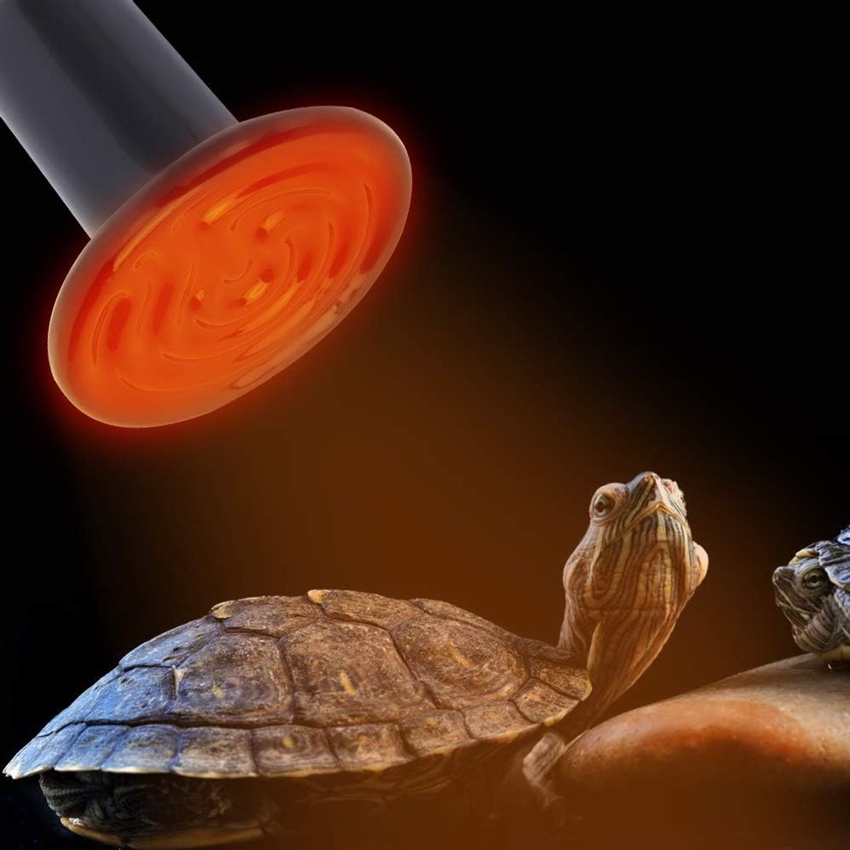 KUANGYE - Ampolleta Ceramica Para Calefaccion Reptiles Incubadora 100w