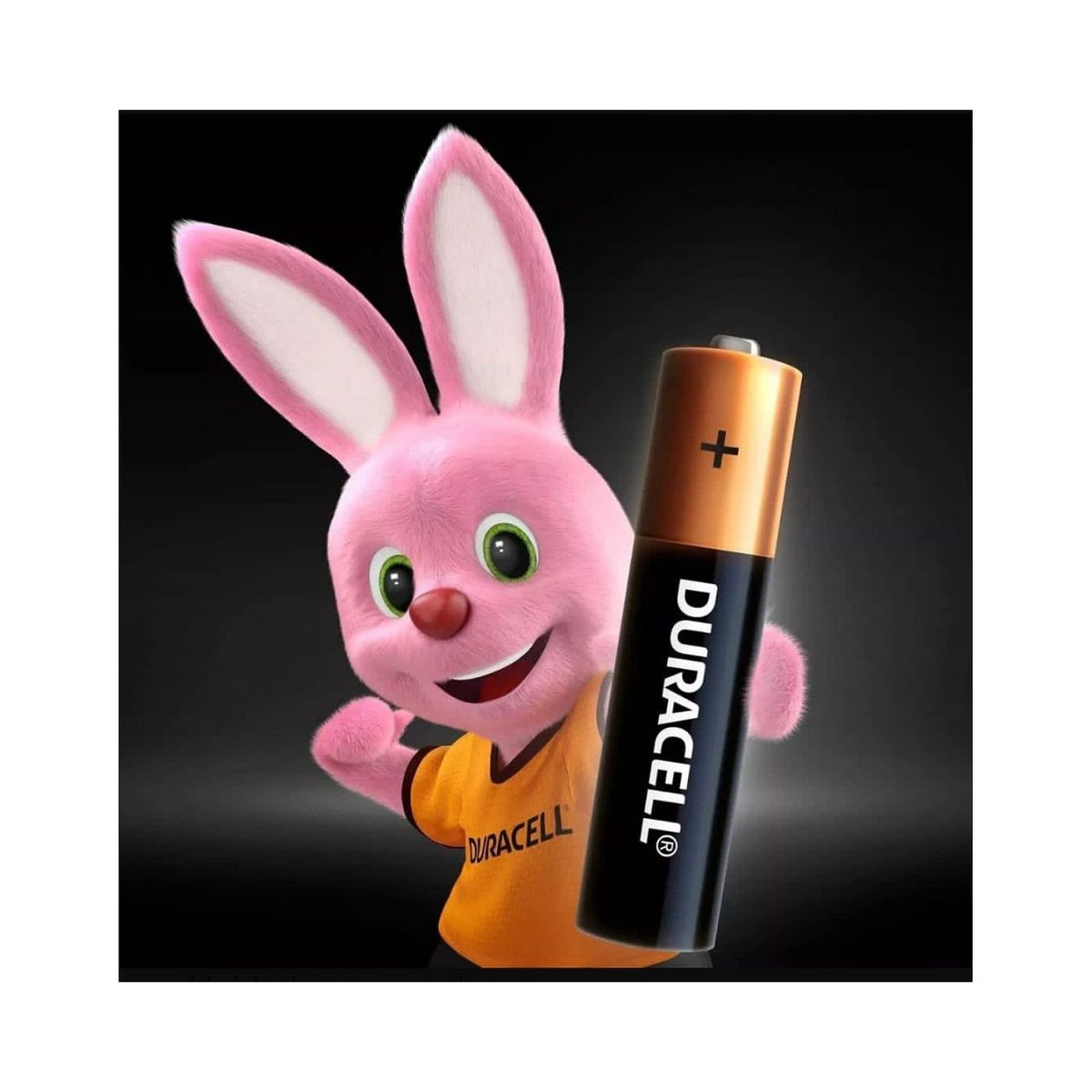 DURACELL - Pilas Alcalina duracell D2 X 4 UNIDADES