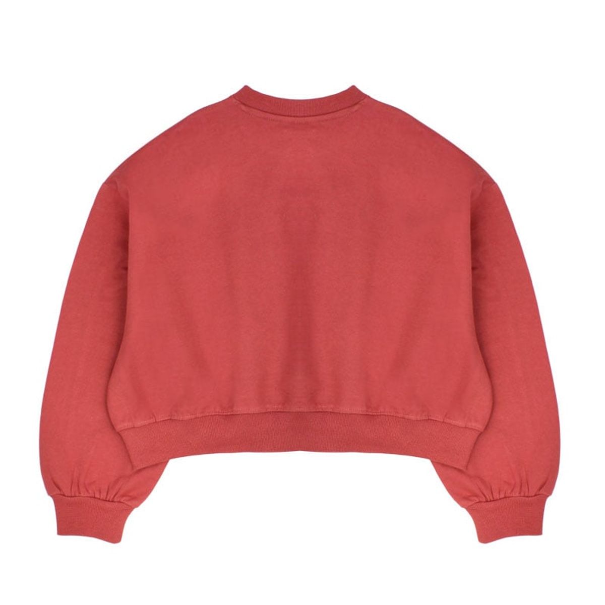 FICCUS - Polerón Junior Niña Academy Coral