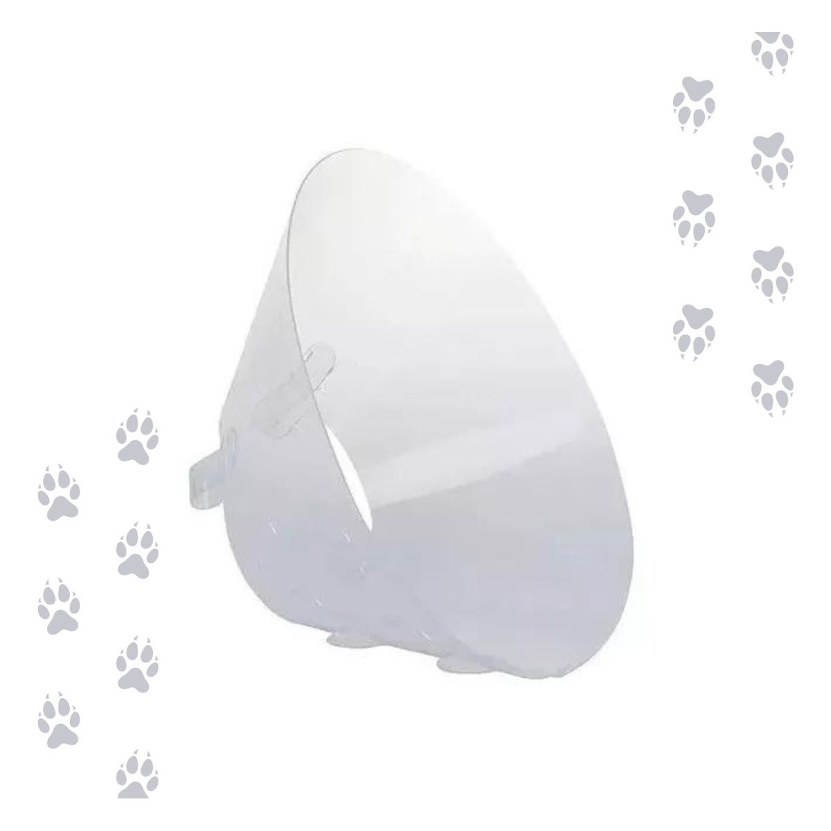 ZEEDOG - Collar Isabelino 15 Cm - Para Gatos Y Perros Transparente