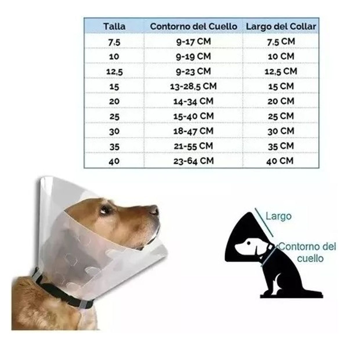 ZEEDOG - Collar Isabelino 15 Cm - Para Gatos Y Perros Transparente