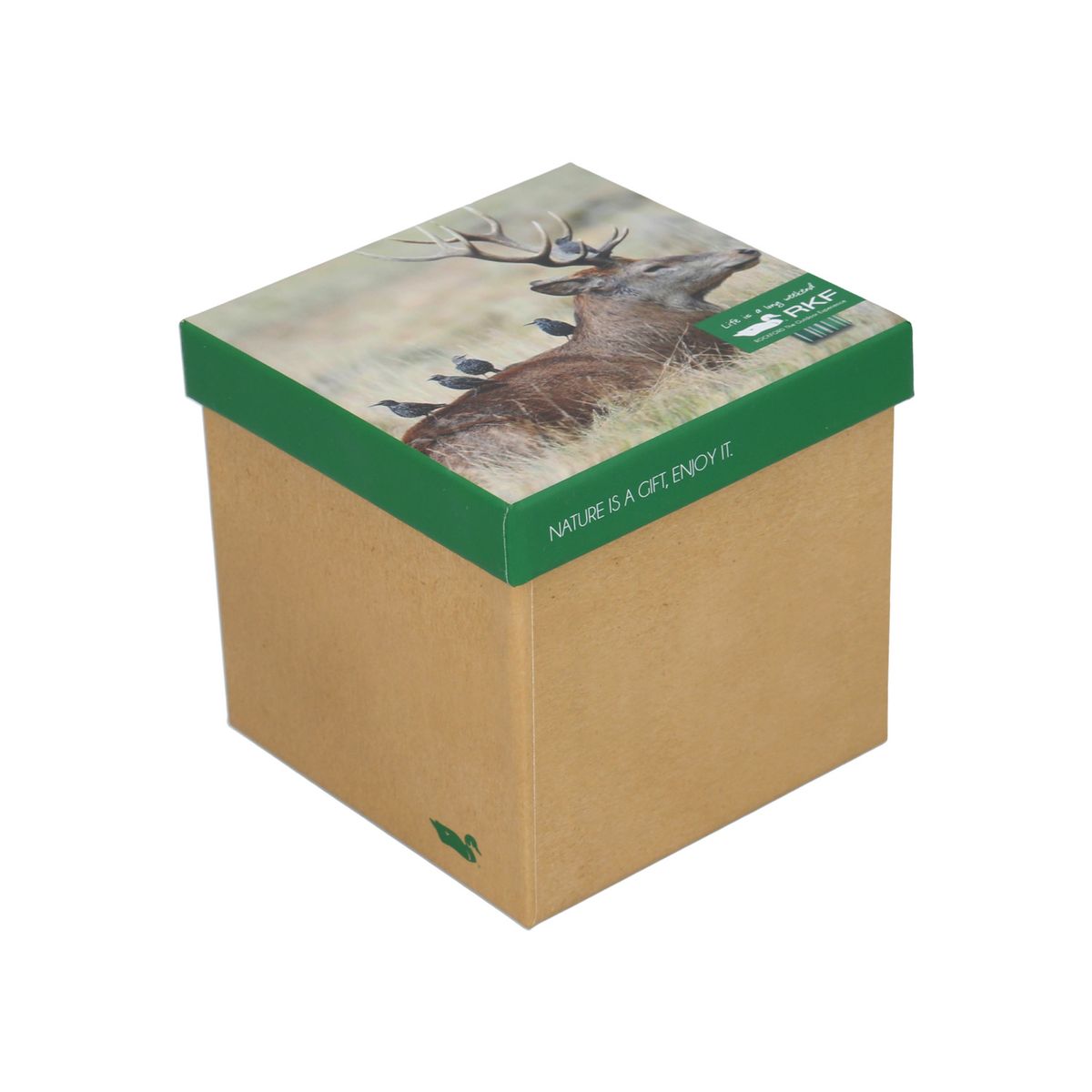 ROCKFORD - Pack 3 Calcetín Bambú Hombre Sym Multicolor ROCKFORD