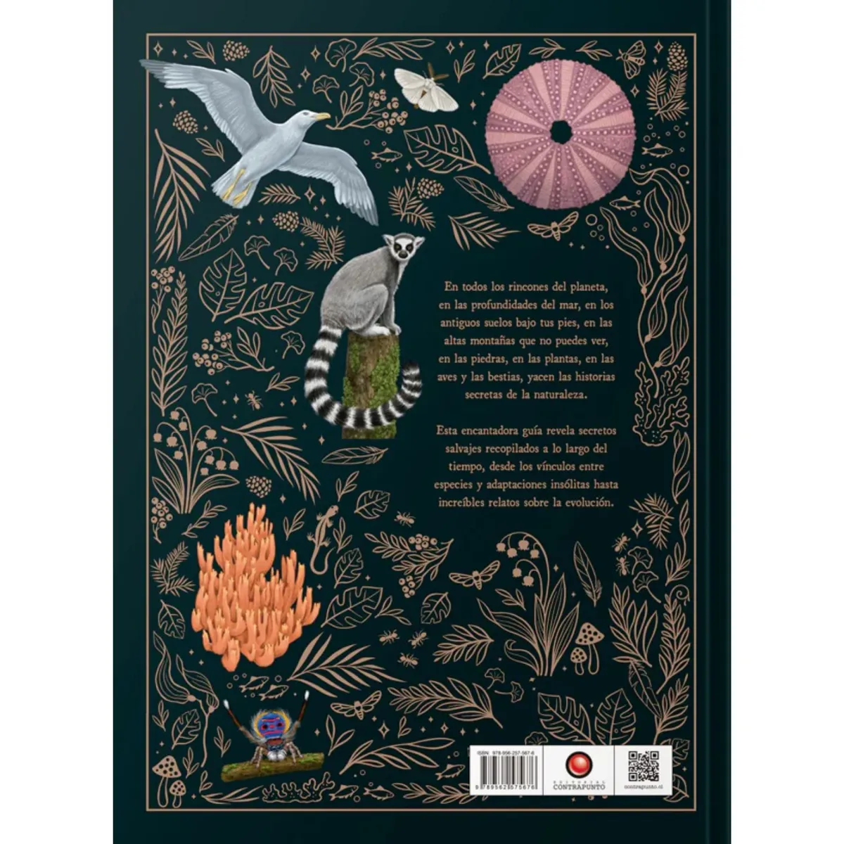 EDITORIAL CONTRAPUNTO - Historias secretas de la naturaleza