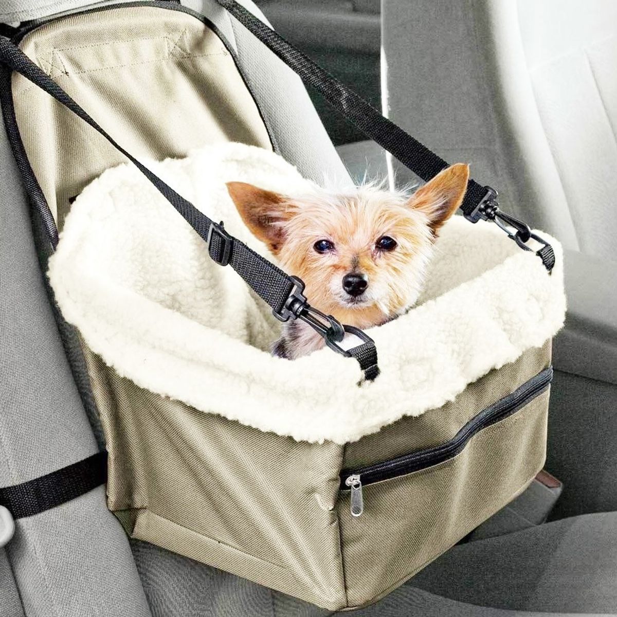 MOVI - Asiento de Auto para Mascotas  Seguridad en Viajes