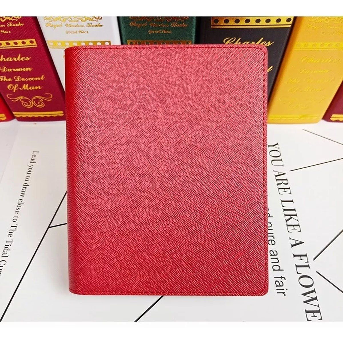 EDWINAYY - Porta Pasaporte Documentos Funda Protectora Viaje Con