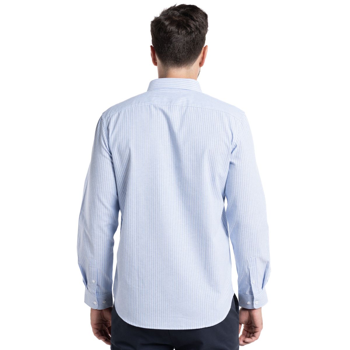 POTROS - Camisa Oxford listada Bergen POTROS