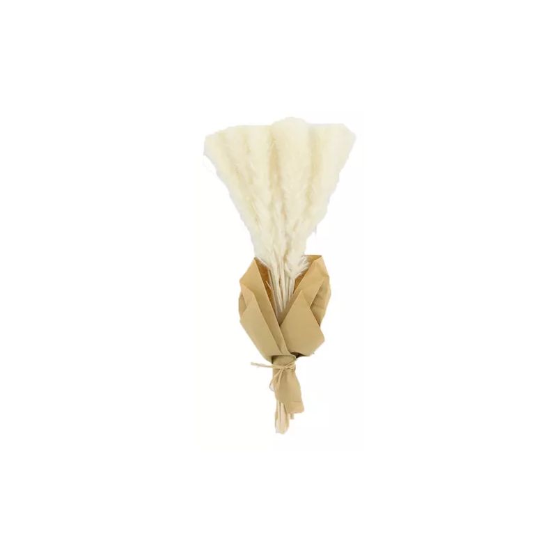 GENERICO - Ramo Flores Pampas Blanca Natural