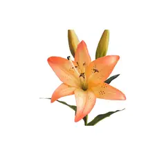 GENERICO - 4 Lilium Naranjo Flores Artificiales 69cm